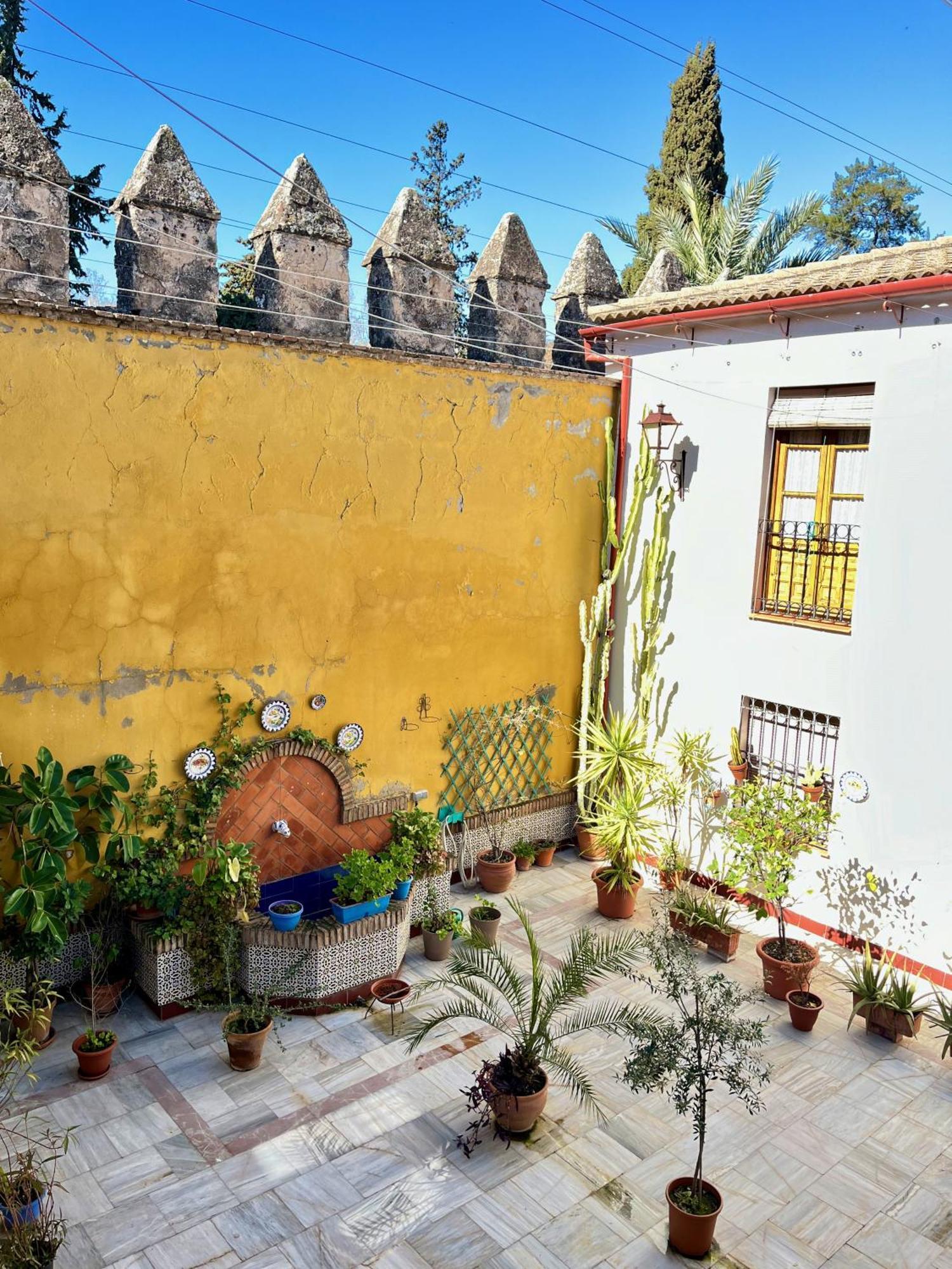 El Patio De Wallada Córdoba Exterior foto