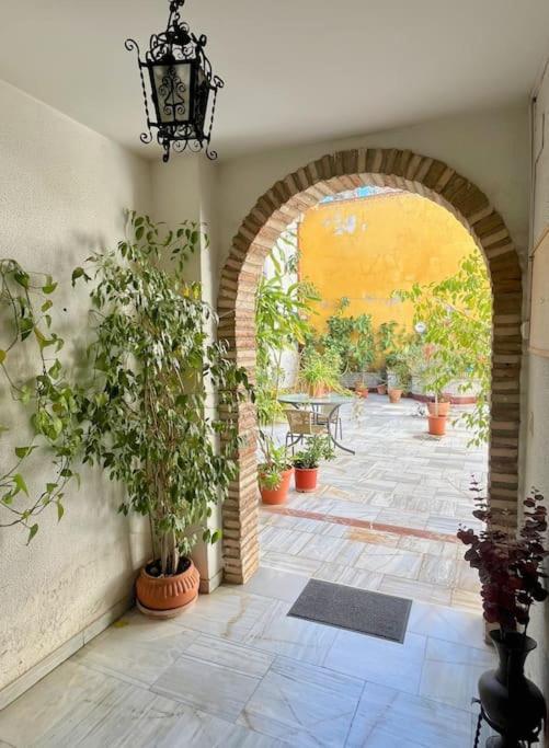 El Patio De Wallada Córdoba Exterior foto