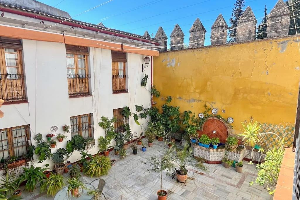 El Patio De Wallada Córdoba Exterior foto